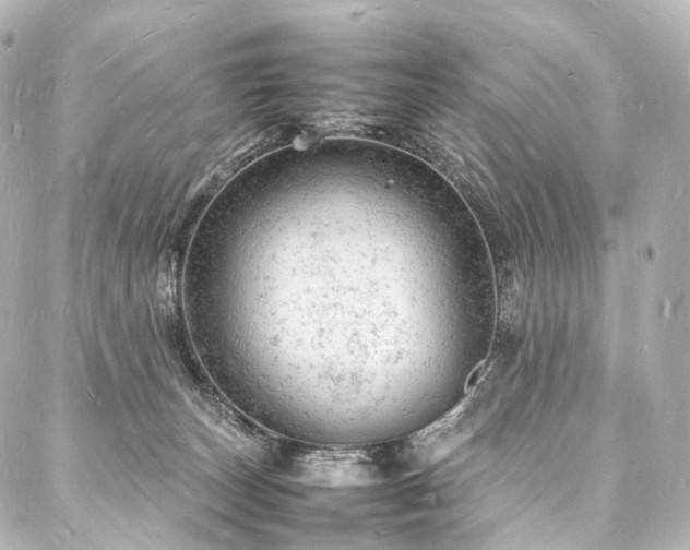 X0000088030179200705111205