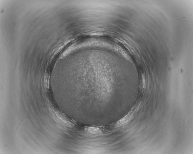 X0000088030180200705111205