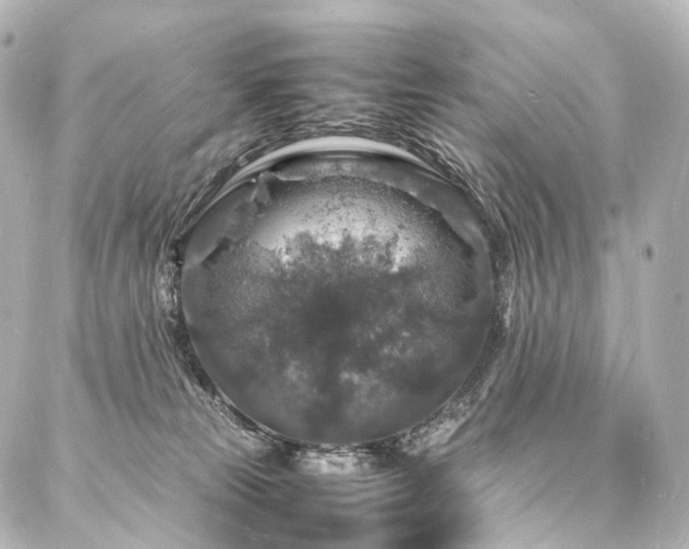 X0000088030181200705111205