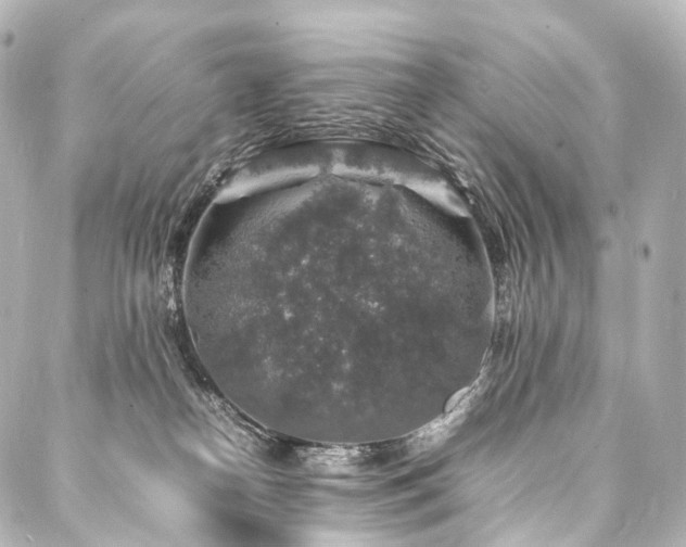 X0000088030182200705111205