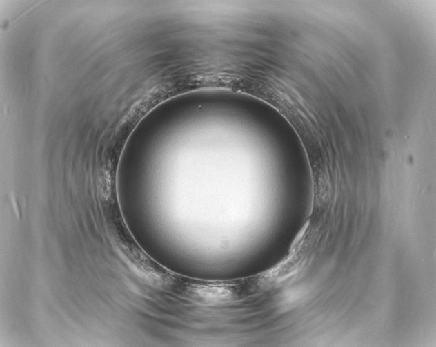 X0000088030183200705111205