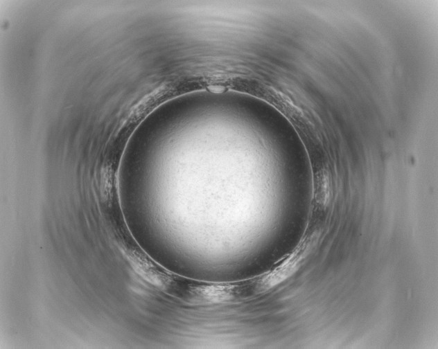 X0000088030184200705111205