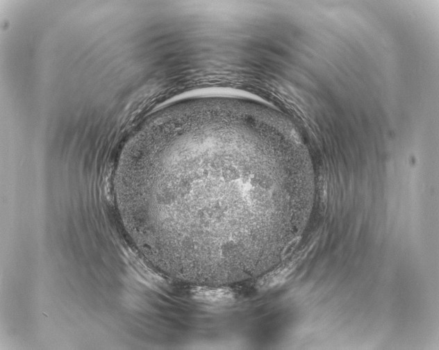 X0000088030185200705111205