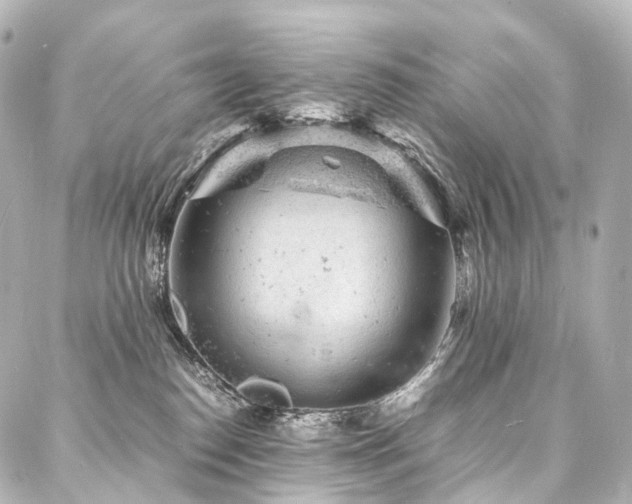 X0000088030186200705111205