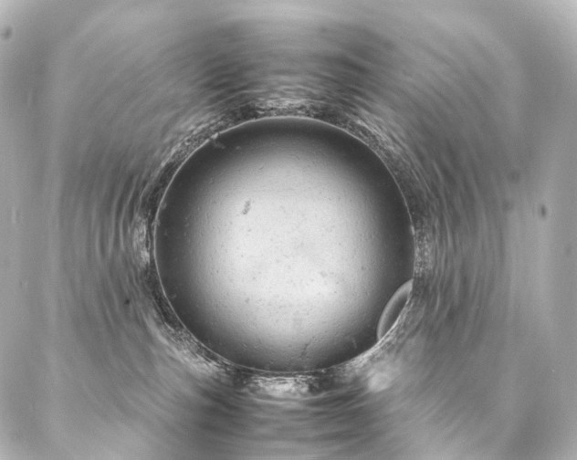 X0000088030187200705111205