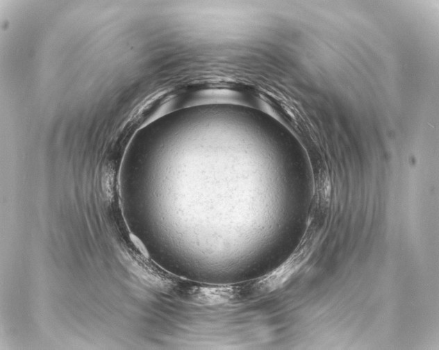 X0000088030188200705111205