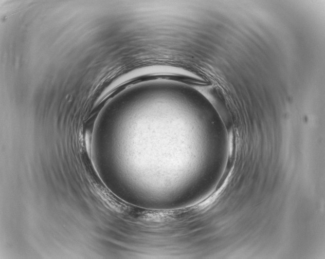 X0000088030190200705111205