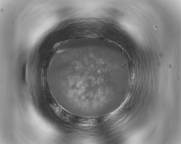 X0000088030191200705111205