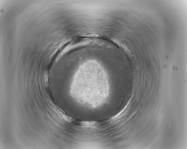 X0000088030192200705111205