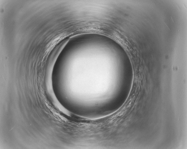 X0000088030193200705111204