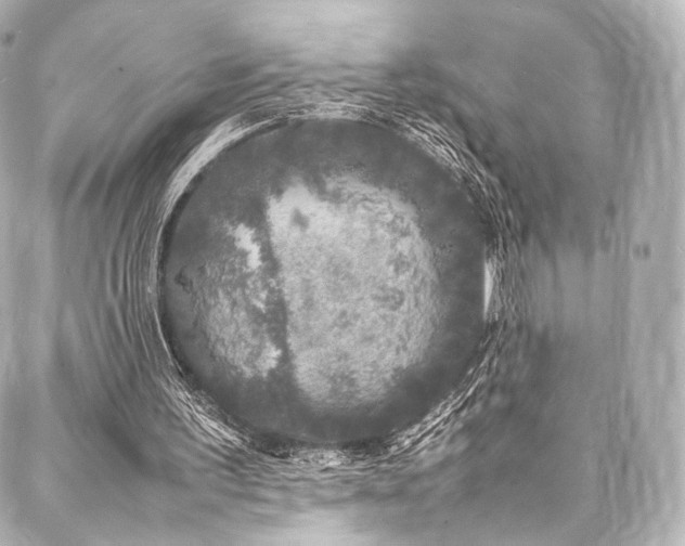 X0000088030195200705111204