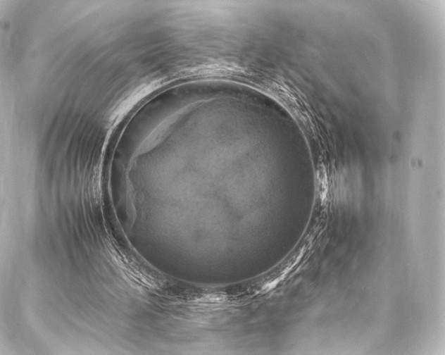 X0000088030196200705111204