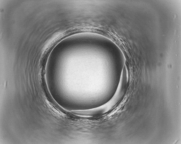 X0000088030197200705111204