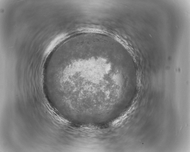 X0000088030199200705111204