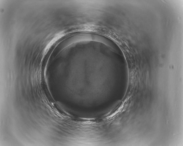 X0000088030200200705111204