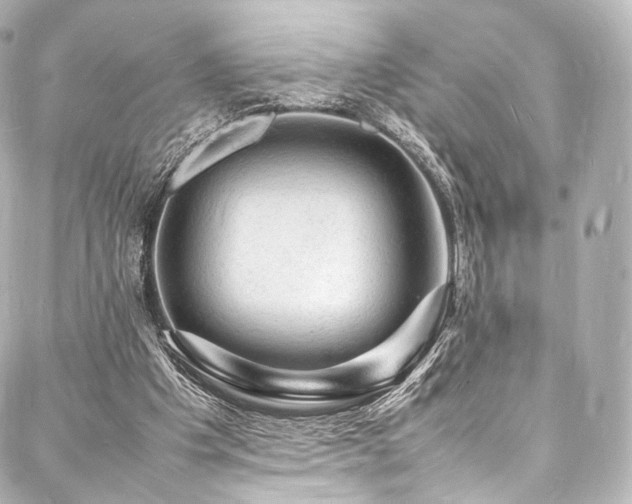 X0000088030201200705111204