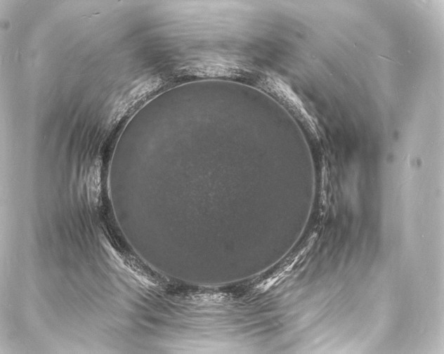 X0000088030202200705111204