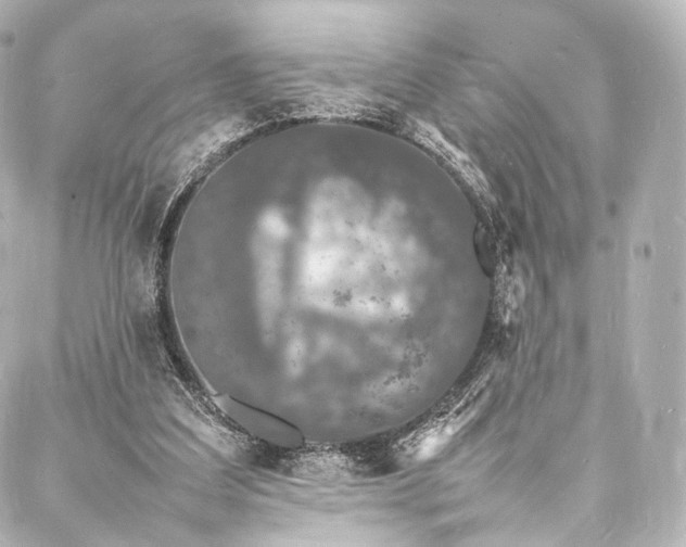 X0000088030203200705111204