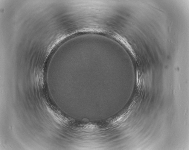 X0000088030204200705111204