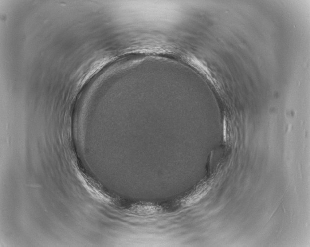 X0000088030205200705111204