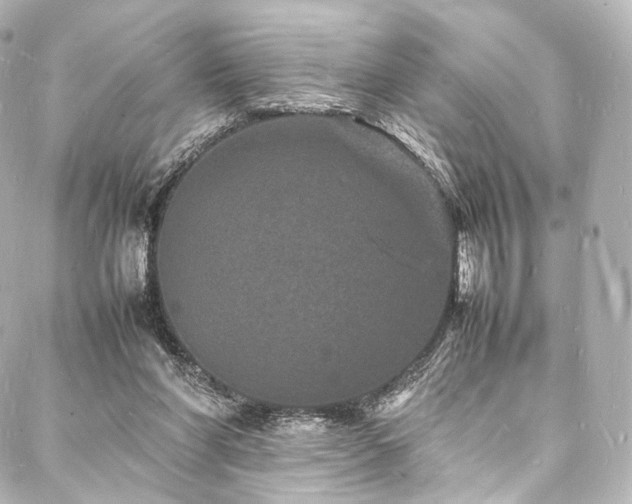 X0000088030206200705111204