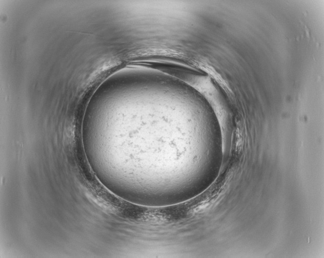 X0000088030207200705111204