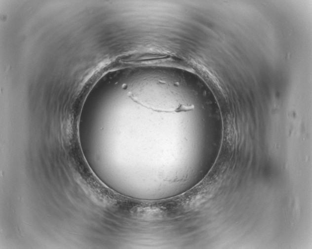 X0000088030208200705111204