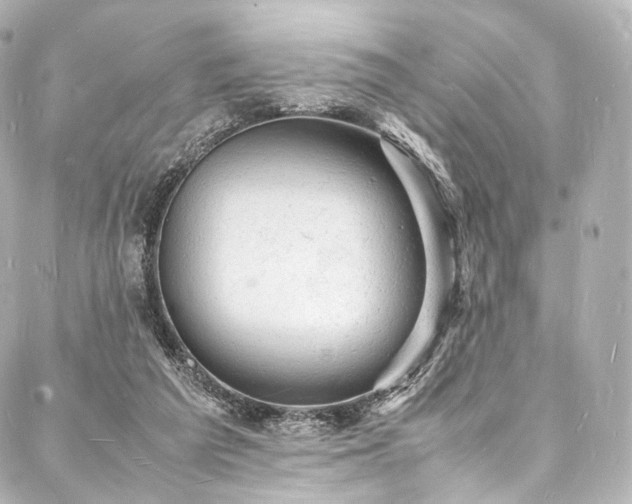 X0000088030209200705111204