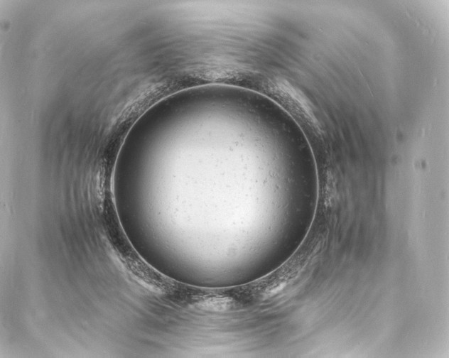 X0000088030210200705111204