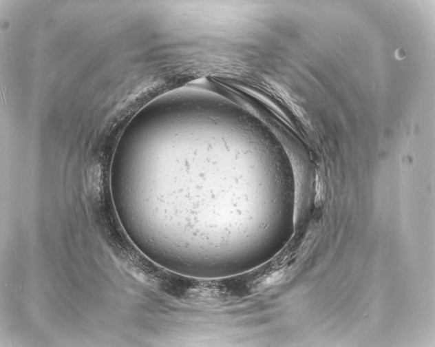 X0000088030211200705111204