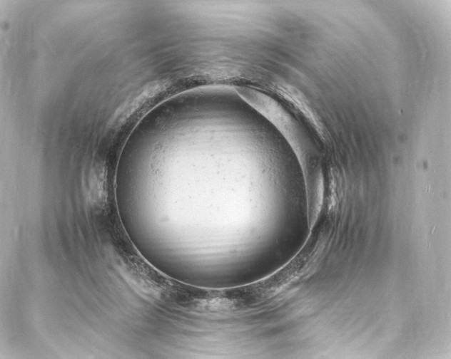 X0000088030212200705111204