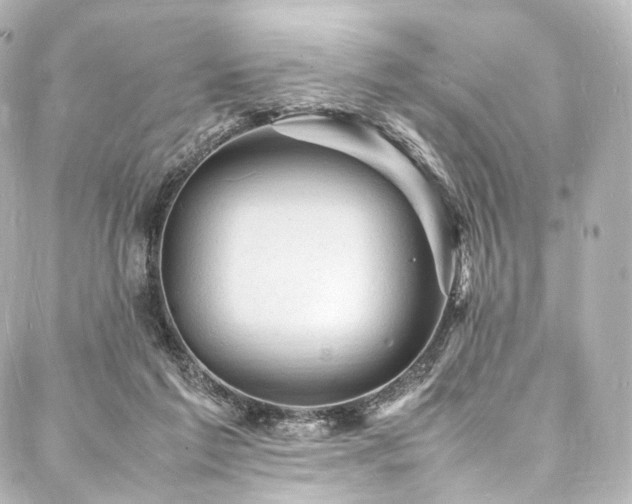 X0000088030213200705111204