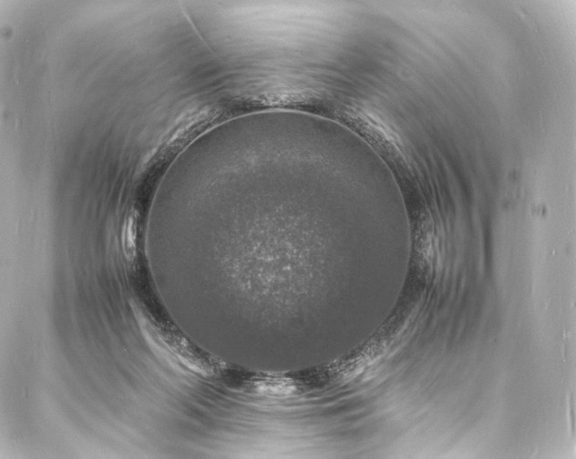 X0000088030214200705111204