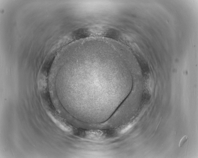 X0000088030215200705111204