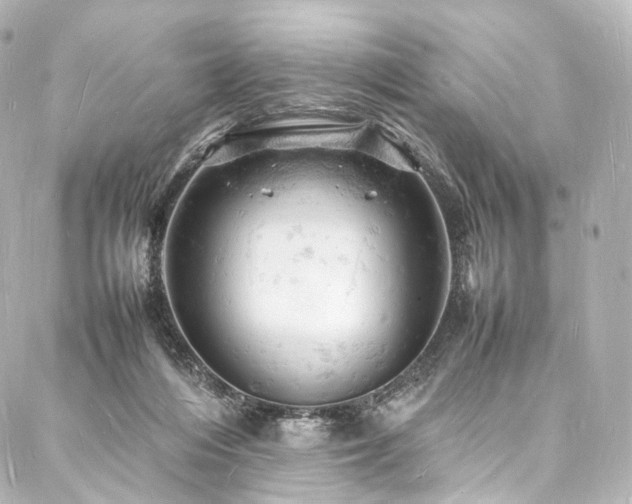 X0000088030216200705111204