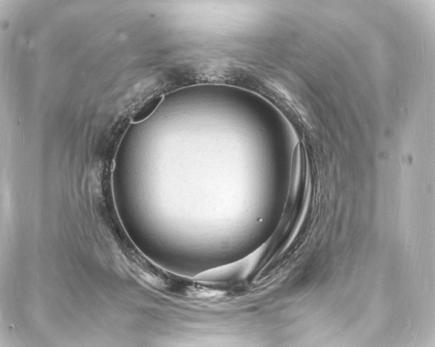 X0000088030217200705111204