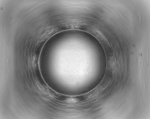 X0000088030218200705111204