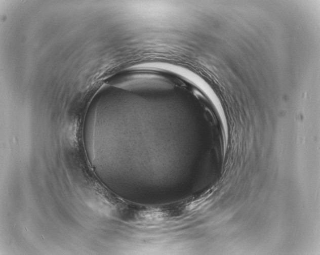 X0000088030219200705111204