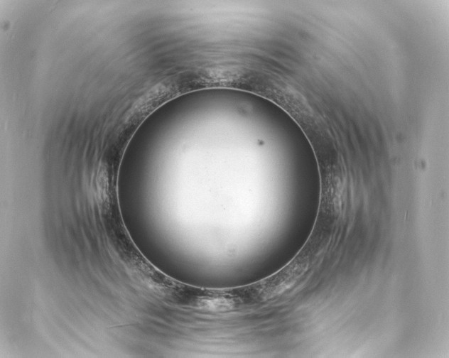 X0000088030220200705111204