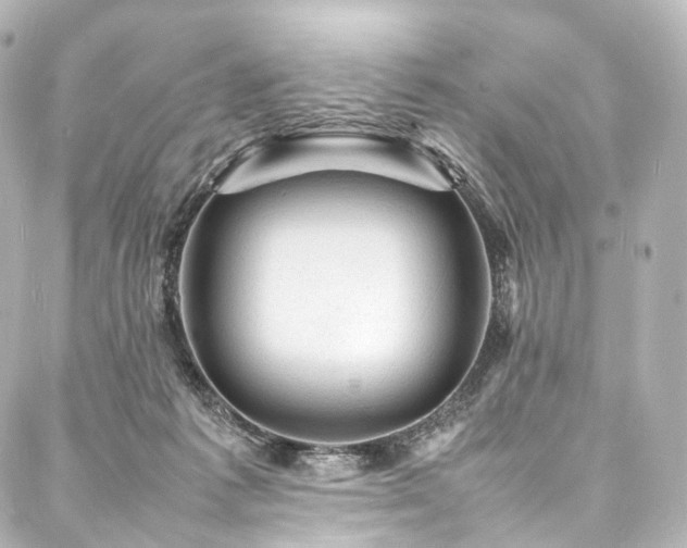 X0000088030221200705111204