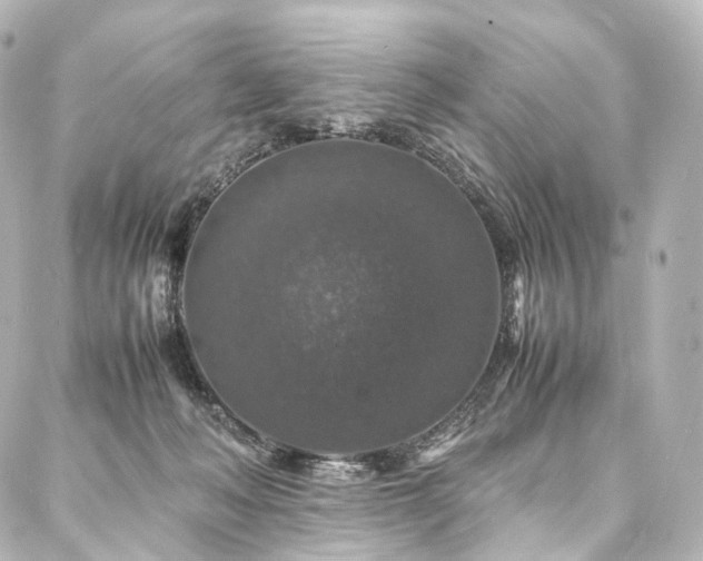 X0000088030222200705111204