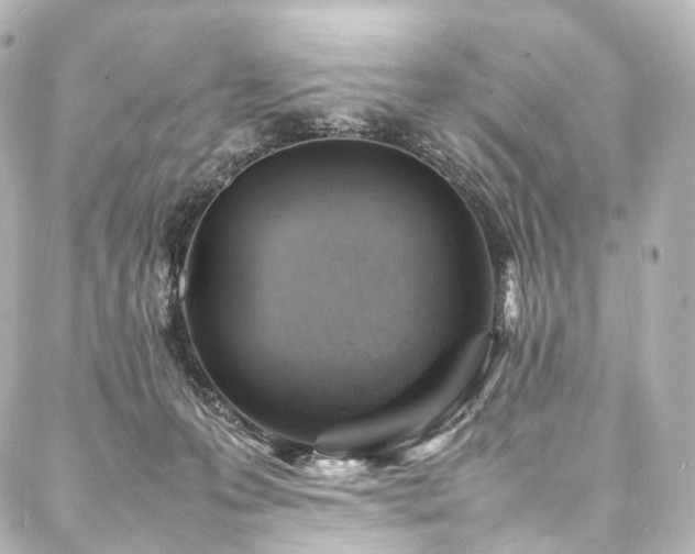 X0000088030223200705111204