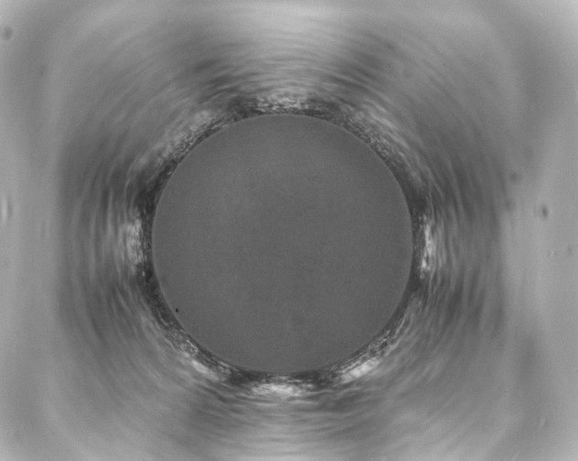 X0000088030224200705111204