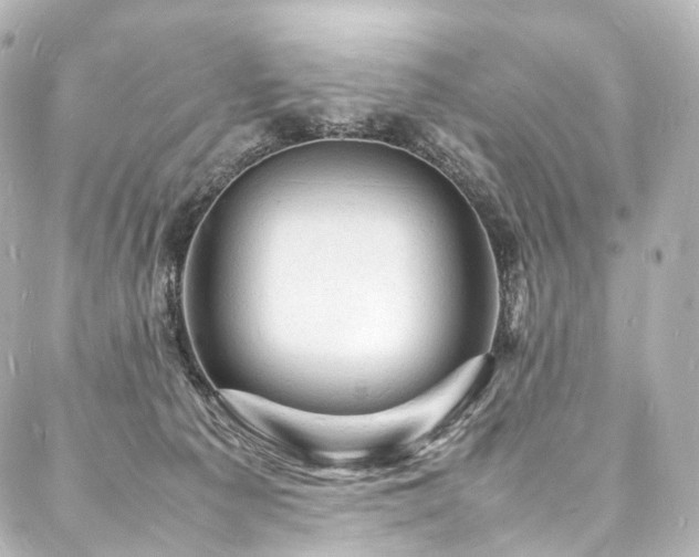 X0000088030225200705111203
