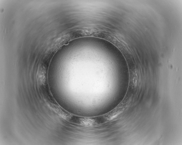 X0000088030226200705111203