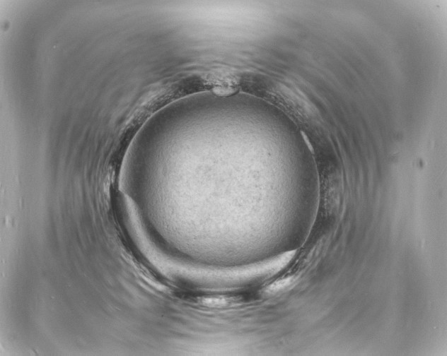 X0000088030229200705111203