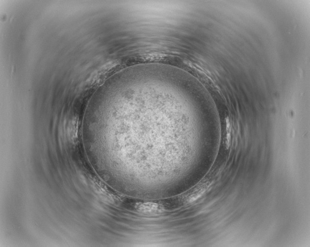 X0000088030230200705111203