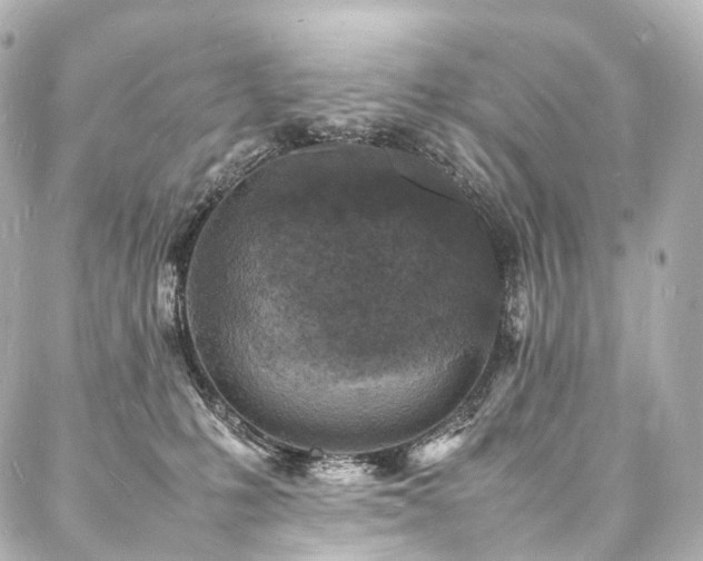 X0000088030231200705111203