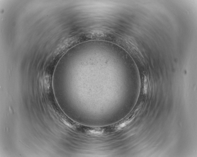 X0000088030232200705111203