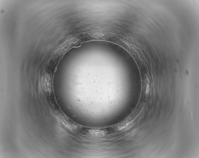 X0000088030234200705111203